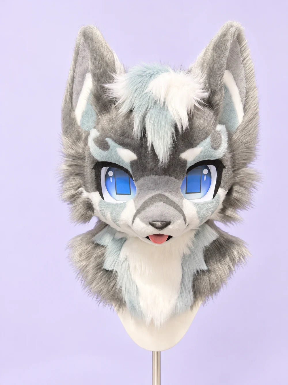A grey and white palette with blue eyes. — AI-retouched photograph